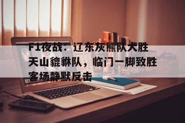 开云体育入口-包含F1夜战:辽东灰熊队大胜天山貔貅队,临门一脚致胜客场静默反击的词条