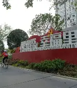 社区盾杯直播2024