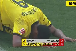 开云官网-德甲联赛派系详解